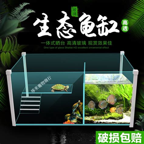 烏龜 魚 混養|龜缸裏能養哪些魚？ 適合龜缸裏養的魚，能和龜混養。